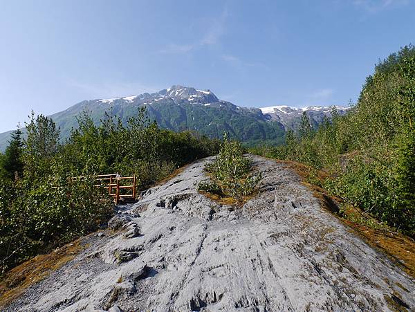 P2580792.JPG P2580792.JPG