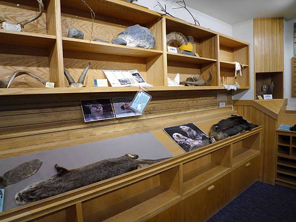 P2580833.JPG P2580833.JPG