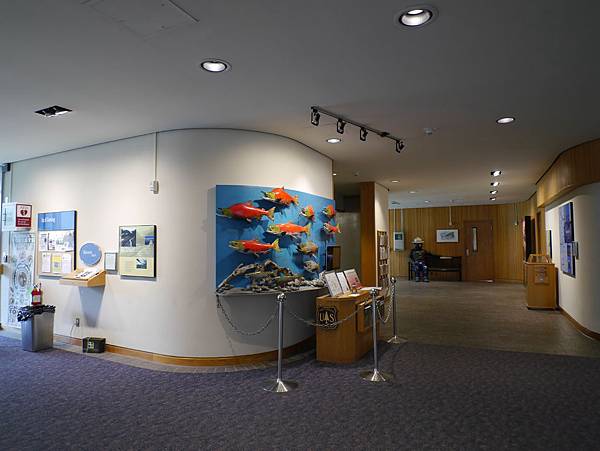 P2580834.JPG P2580834.JPG