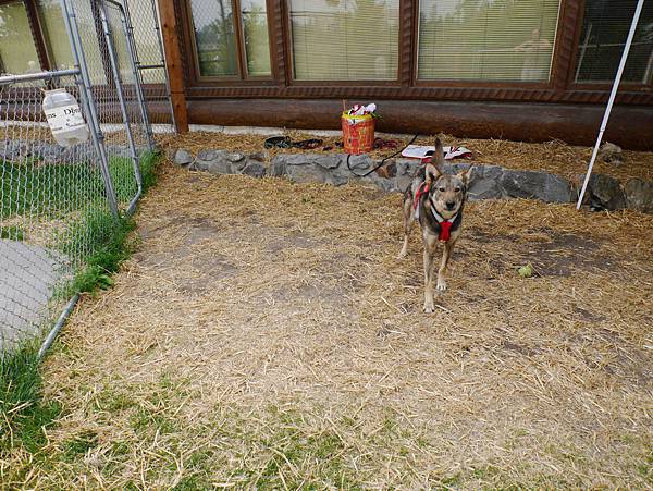 P2590097.JPG P2590097.JPG