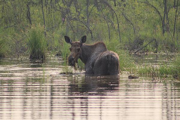 IMG_8851.JPG IMG_8851.JPG