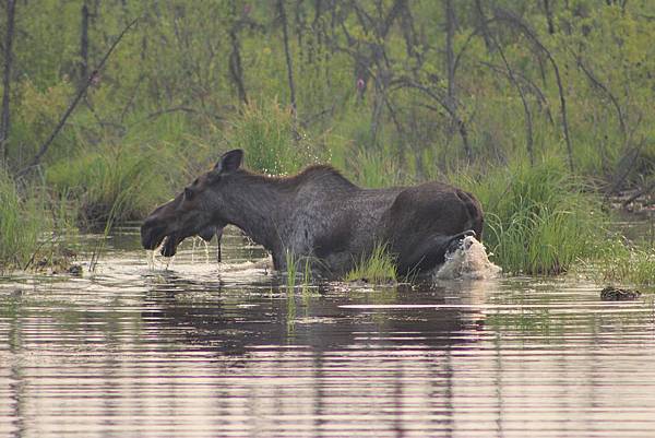 IMG_8856.JPG IMG_8856.JPG