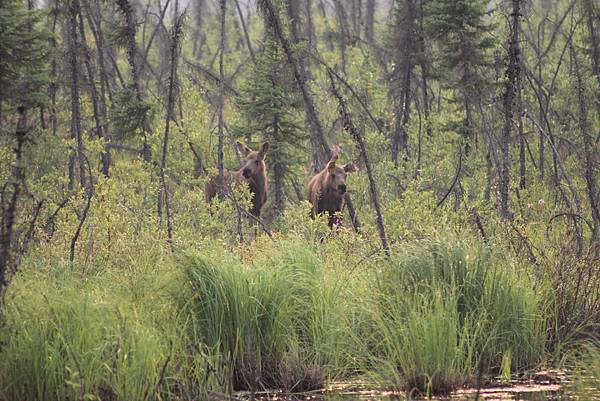 IMG_8871.JPG IMG_8871.JPG