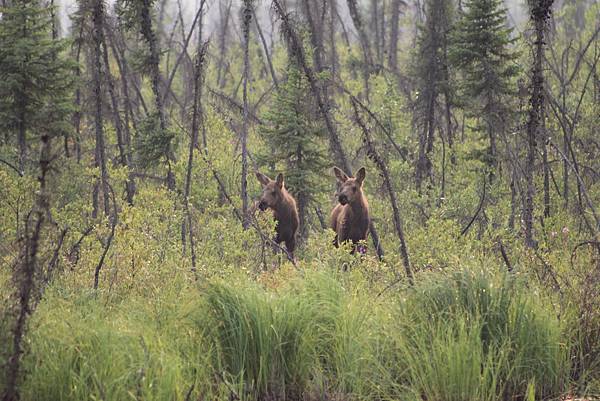 IMG_8875.JPG IMG_8875.JPG