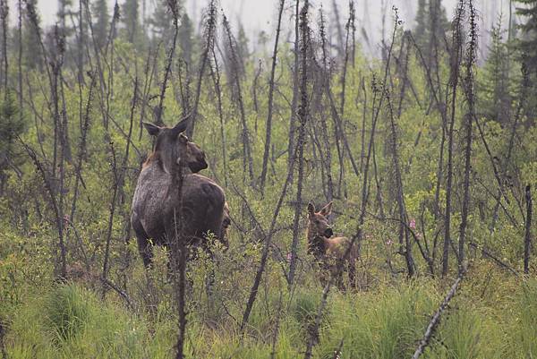 IMG_8884.JPG IMG_8884.JPG