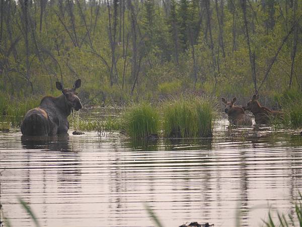 P2590132.JPG P2590132.JPG