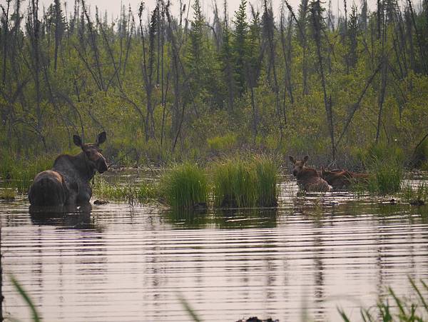 P2590133.JPG P2590133.JPG