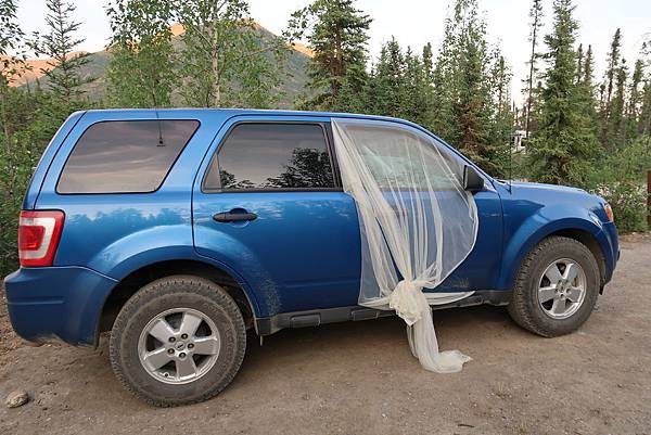 IMG_9696.JPG IMG_9696.JPG