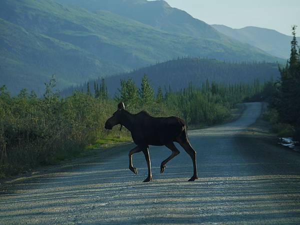 P2590175.JPG P2590175.JPG