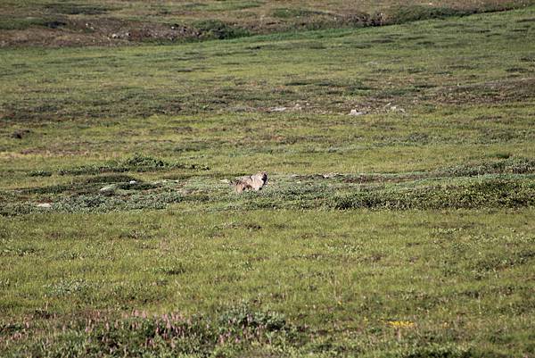 IMG_8897.JPG IMG_8897.JPG