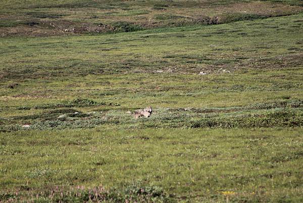 IMG_8898.JPG IMG_8898.JPG