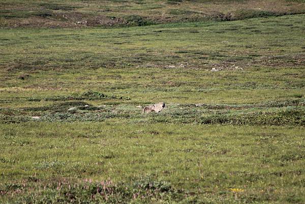 IMG_8906.JPG IMG_8906.JPG