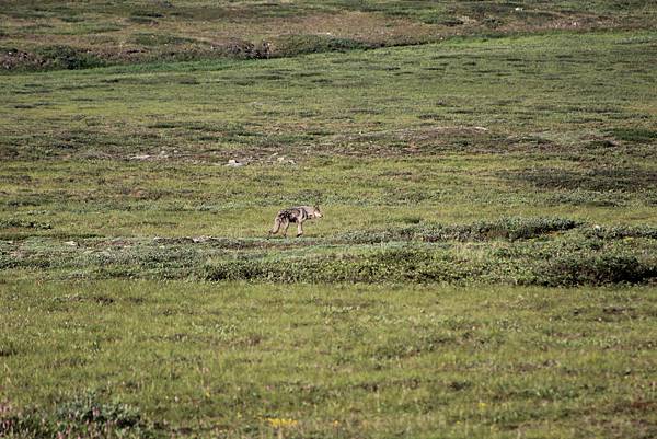 IMG_8908.JPG IMG_8908.JPG