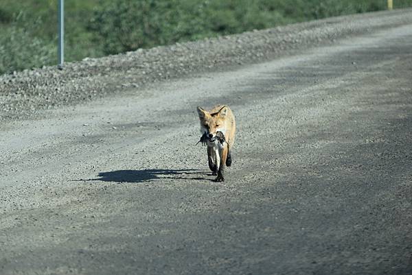 IMG_8925.JPG IMG_8925.JPG