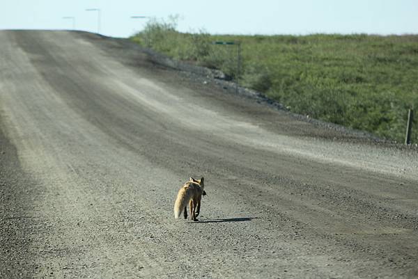 IMG_8958.JPG IMG_8958.JPG