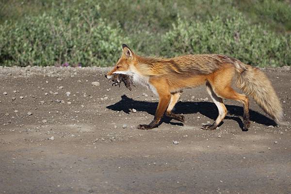 IMG_8928.JPG IMG_8928.JPG