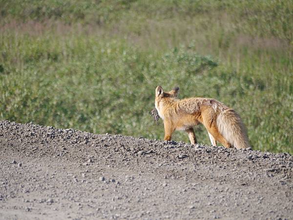 P2590203.JPG P2590203.JPG