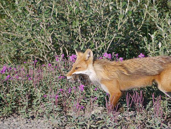 P2590212.JPG P2590212.JPG