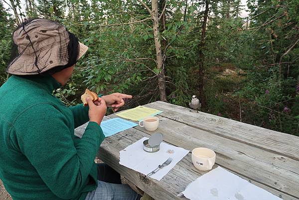 IMG_9702.JPG IMG_9702.JPG