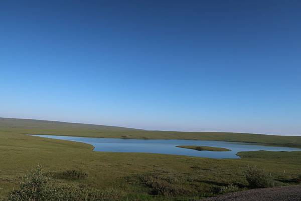 IMG_9728.JPG IMG_9728.JPG