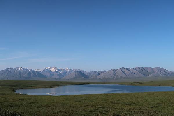 IMG_9741.JPG IMG_9741.JPG