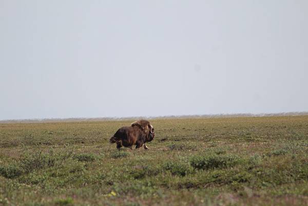 IMG_8982.JPG IMG_8982.JPG