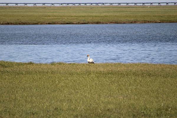 IMG_8969.JPG IMG_8969.JPG