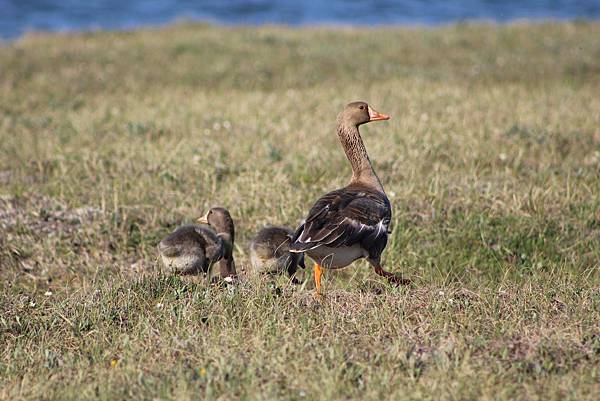 IMG_9024.JPG IMG_9024.JPG