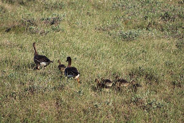 IMG_9029.JPG IMG_9029.JPG