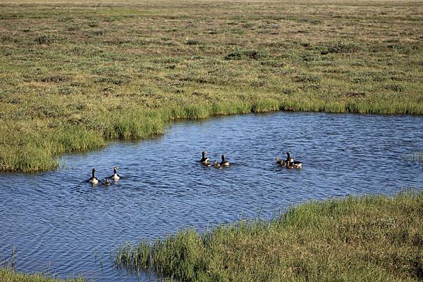 IMG_9027.JPG IMG_9027.JPG