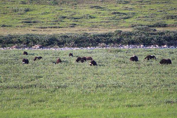 IMG_9052.JPG IMG_9052.JPG