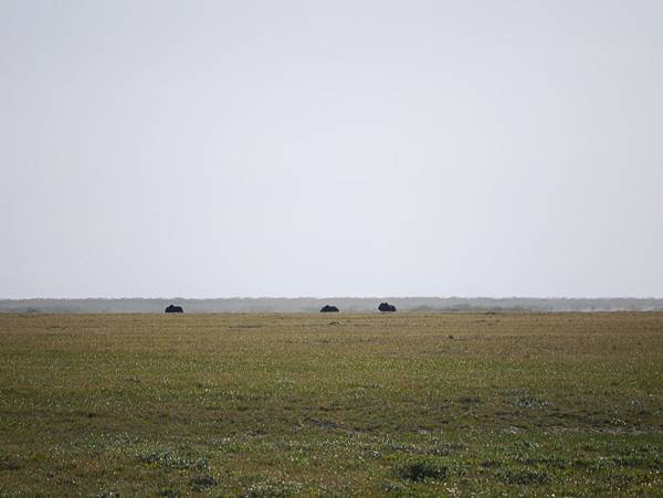 P2590250.JPG P2590250.JPG