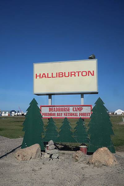 IMG_9845.JPG IMG_9845.JPG