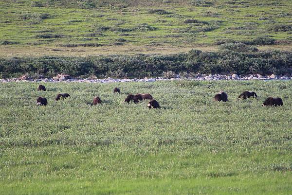 IMG_9052.JPG IMG_9052.JPG