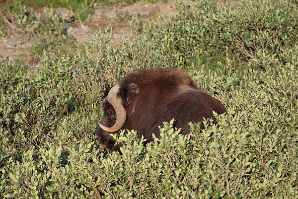 IMG_9056.JPG IMG_9056.JPG