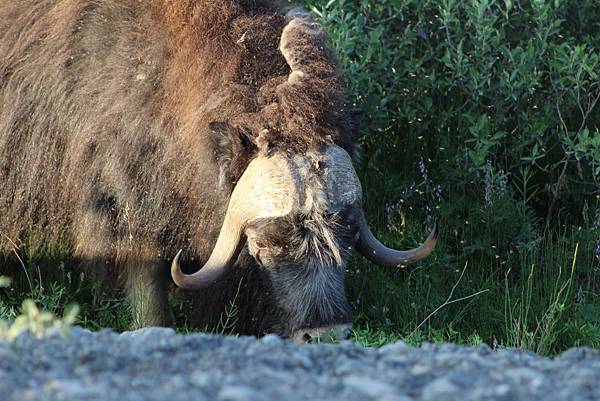 IMG_9076.JPG IMG_9076.JPG