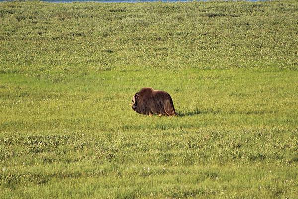 IMG_9068.JPG IMG_9068.JPG