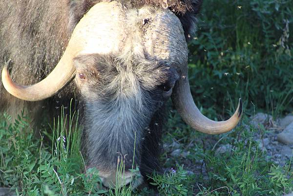 IMG_9092.JPG IMG_9092.JPG