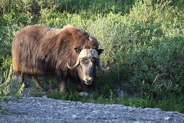 IMG_9100.JPG IMG_9100.JPG