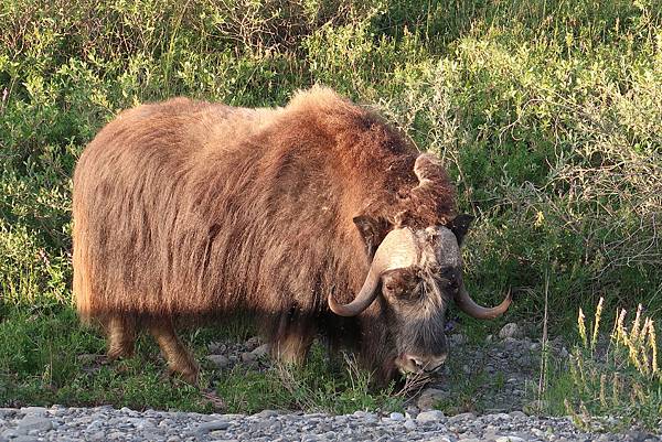 IMG_9876.JPG IMG_9876.JPG