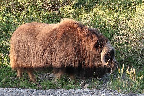 IMG_9877.JPG IMG_9877.JPG