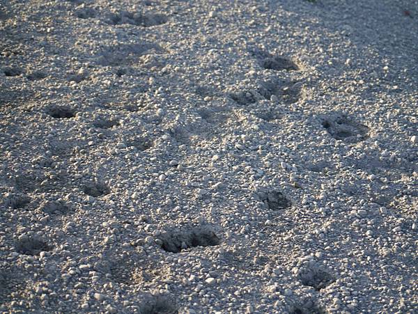 P2590286.JPG P2590286.JPG