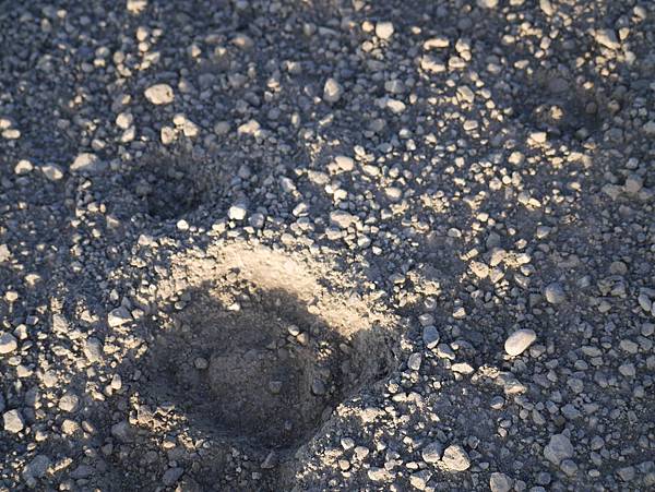 P2590284.JPG P2590284.JPG