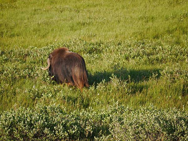 P2590305.JPG P2590305.JPG