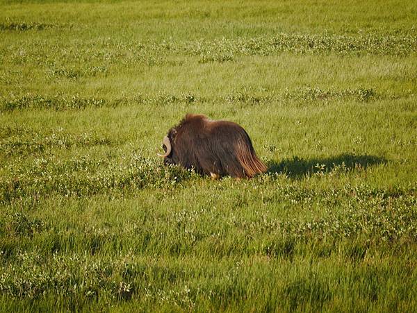 P2590311.JPG P2590311.JPG