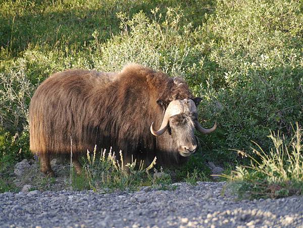 P2590324.JPG P2590324.JPG