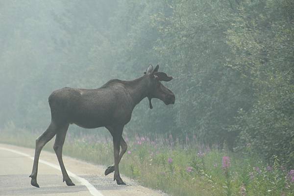 IMG_9148.JPG IMG_9148.JPG