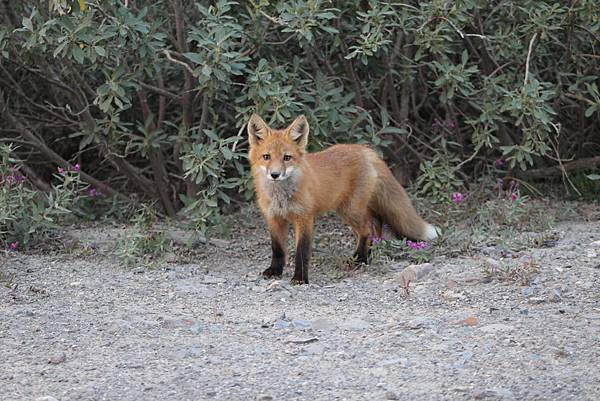 IMG_9139.JPG IMG_9139.JPG