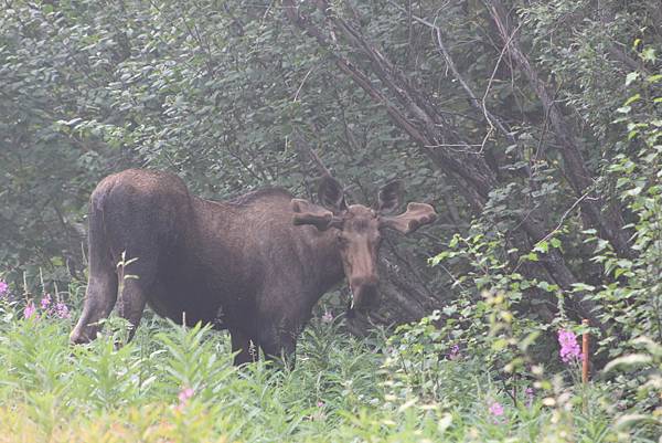 IMG_9151.JPG IMG_9151.JPG