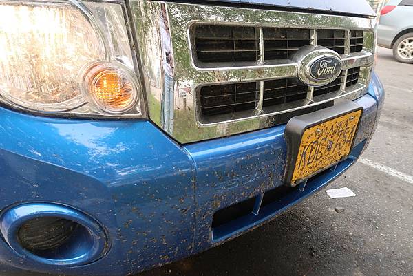 IMG_9890.JPG IMG_9890.JPG